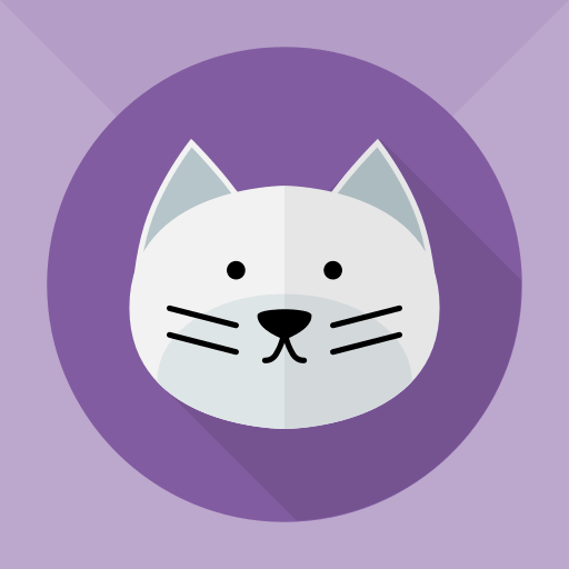 Gato Perdido Ecuador