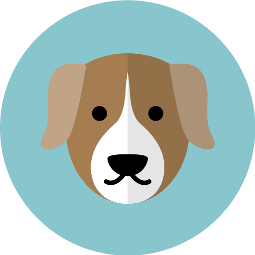 Perro Perdido Ecuador